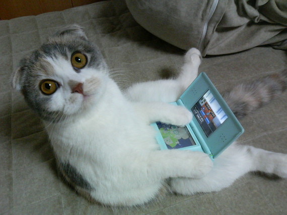 http://www.ize.hu/_files/pics/00003/00003325.jpg