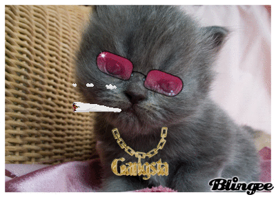 http://www.ize.hu/_files/pics/00003/00003893.gif
