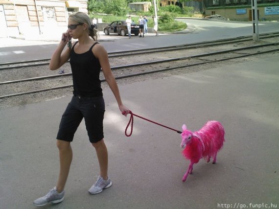http://www.ize.hu/_files/pics/00008/00008540.jpg