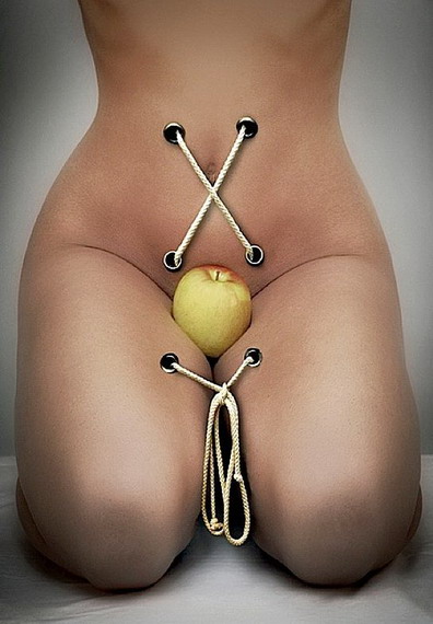 http://www.ize.hu/_files/pics/00010/00010196.jpg